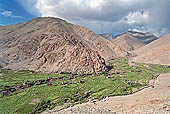  The valley leading to Changla - Ladakh 